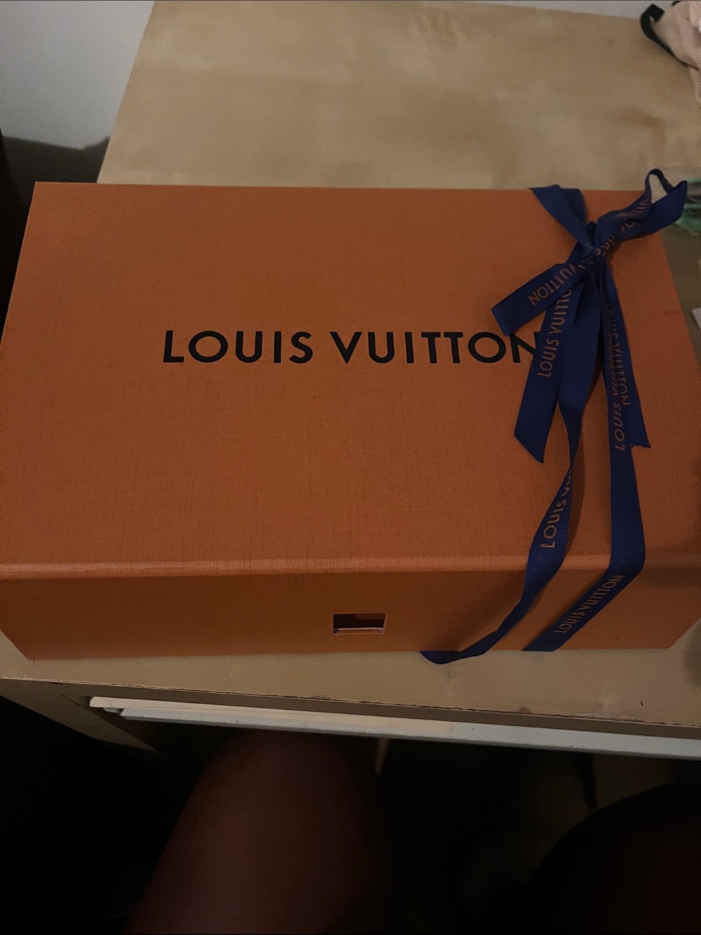 Louis Vuitton Storage Box